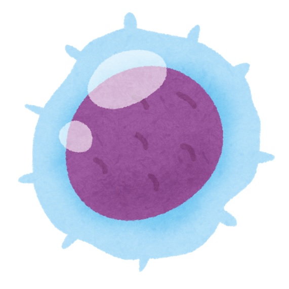 がん免疫_iPS-NKT#1 | がん免疫療法コラム | 6種複合免疫療法