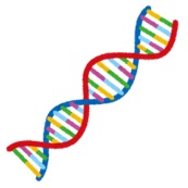 「Vol.176 がんは遺伝するの！？〜遺伝性腫瘍について1〜」記事内の画像
