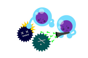 「免疫回避（免疫逃避）とは？　がん細胞の性質とがんの進行を阻止する免疫療法について解説」記事内の画像