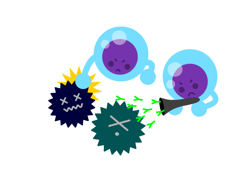 ガン患者が最後に選んだ「免疫食」! hqdefault.jpg