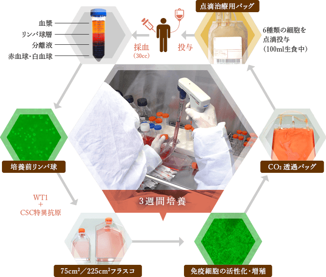 6種複合免疫療法とは？