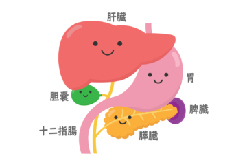 「肝臓がんステージ4の余命とは？　肝転移と末期の生存率についても解説」記事内の画像