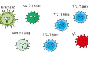 「免疫効果を増強！免疫原性ネオ抗原の機能性促進」記事内の画像