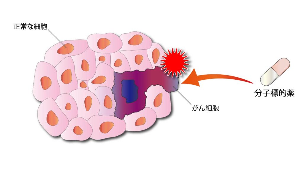 分子標的薬