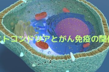 「ミトコンドリアとがん免疫の関係」記事内の画像