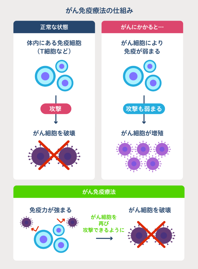 がん免疫療法とは？ 効果から費用までわかりやすく徹底解説 | がん患者