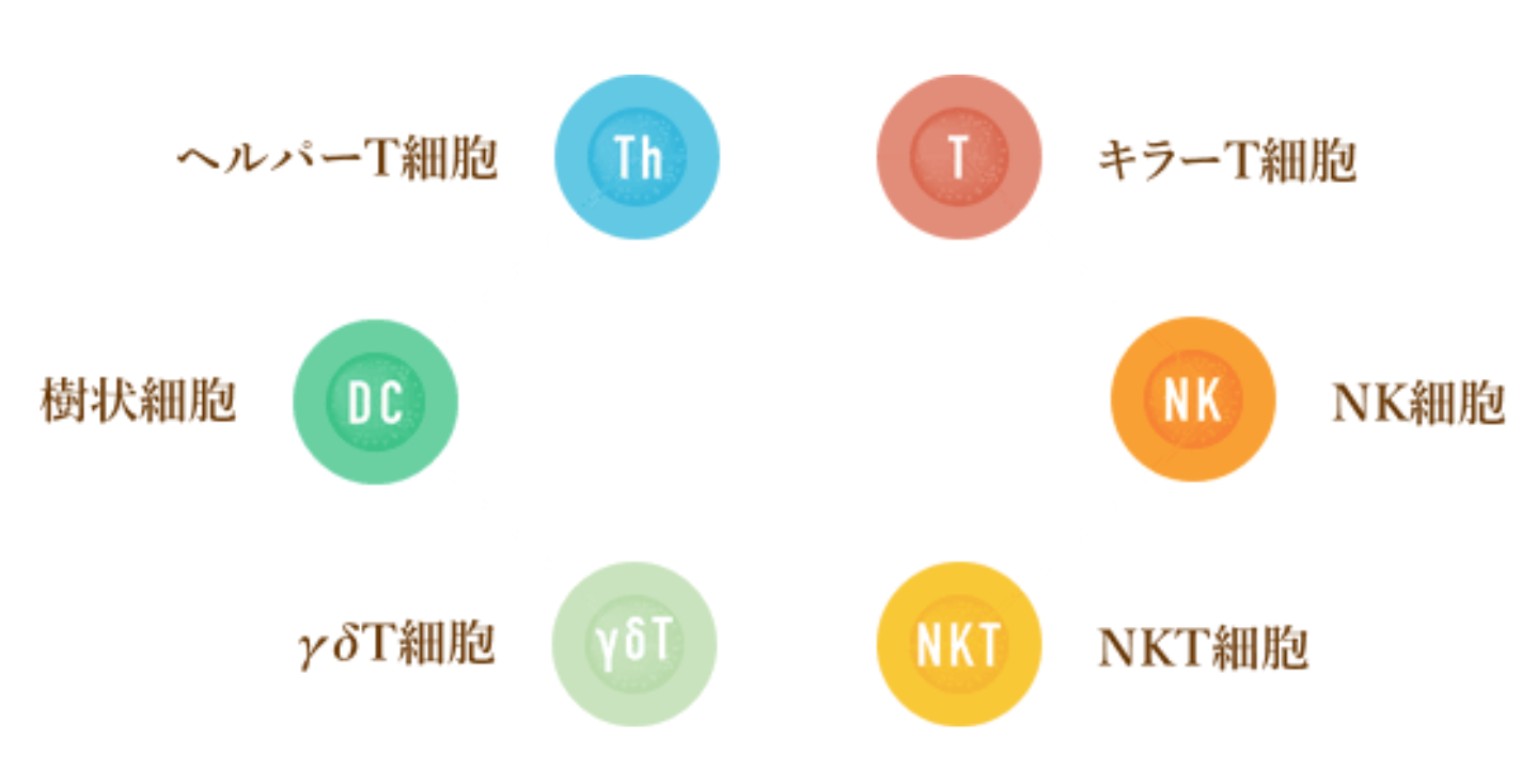 6種複合免疫療法